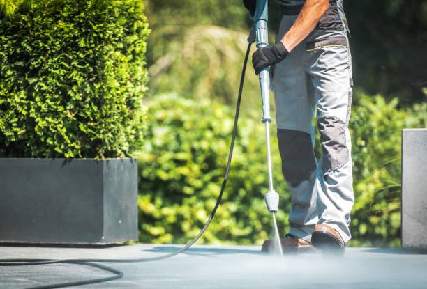 Best Rust Removal  in Auburn Hills, MI